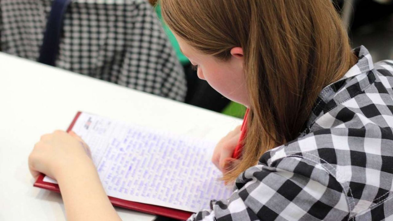 exemplification paragraph essays